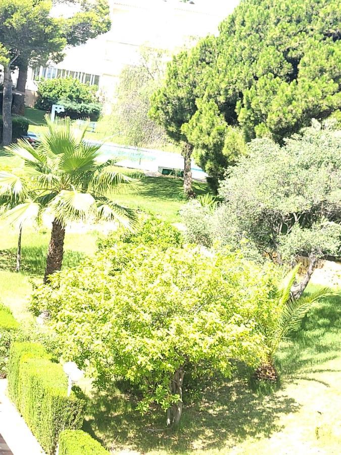 La Casa Alegre Villa Alicante Dış mekan fotoğraf