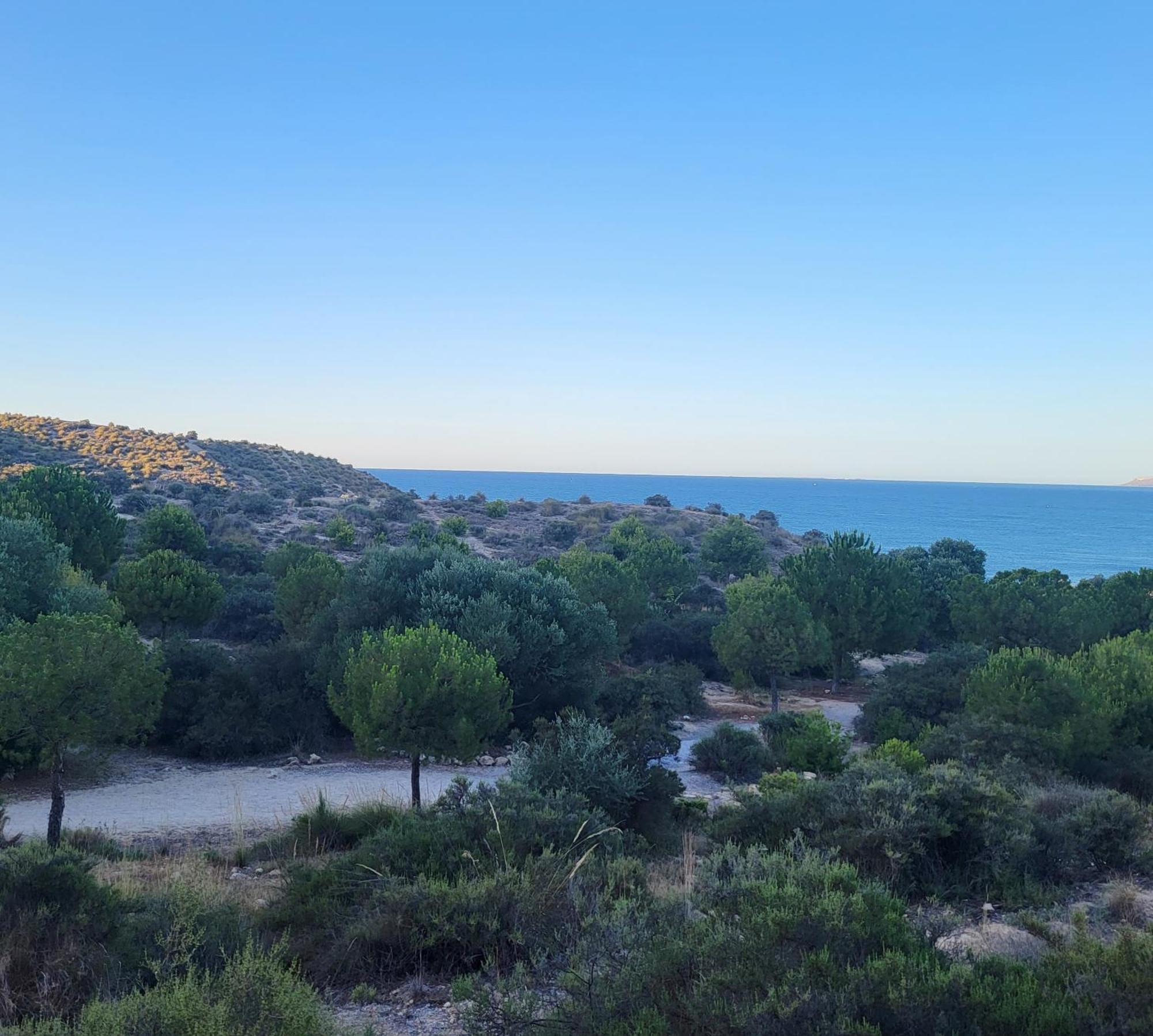 La Casa Alegre Villa Alicante Dış mekan fotoğraf