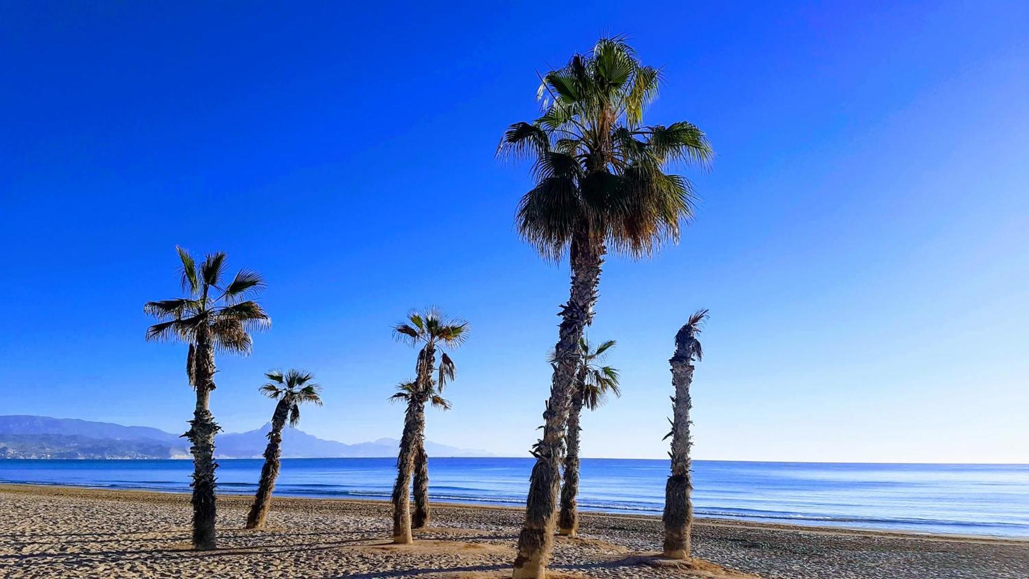 La Casa Alegre Villa Alicante Dış mekan fotoğraf